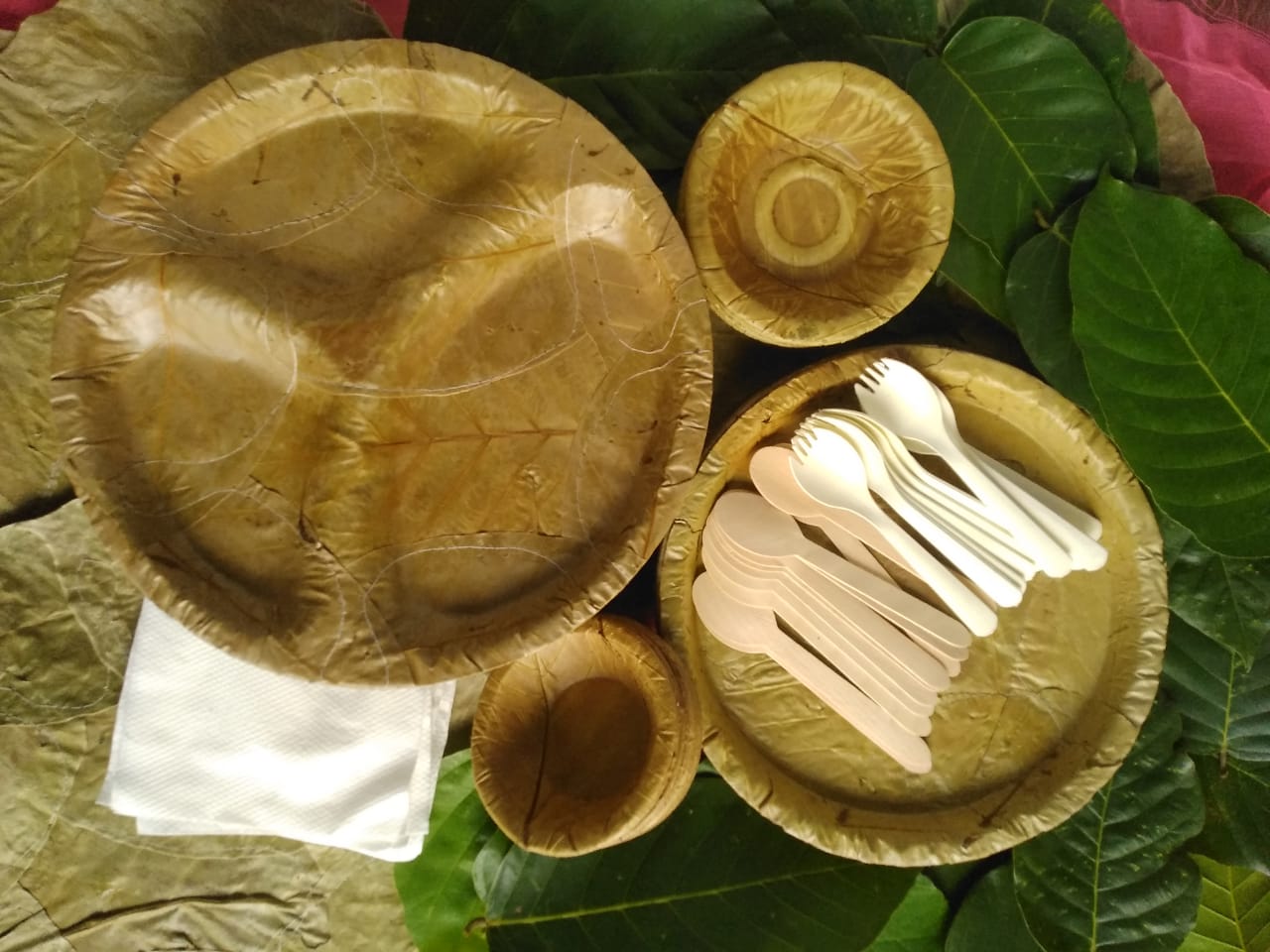 Plant leaves made Cutlery Biodegradable product and sugar cane pulp made compartmental trays picture