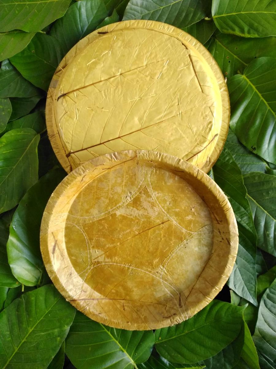 Plant leaves made Cutlery Biodegradable product and sugar cane pulp made compartmental trays picture