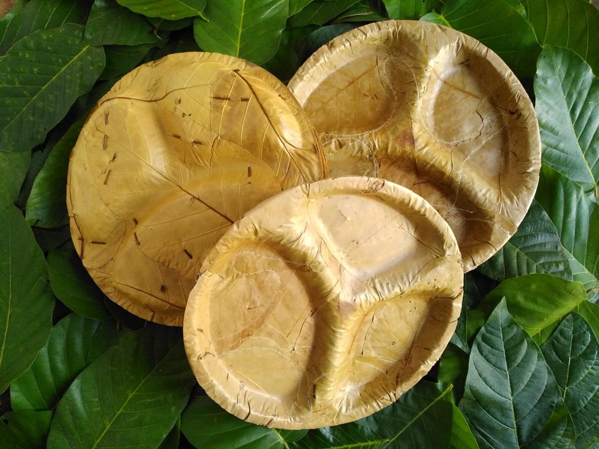 Plant leaves made Cutlery Biodegradable product and sugar cane pulp made compartmental trays picture