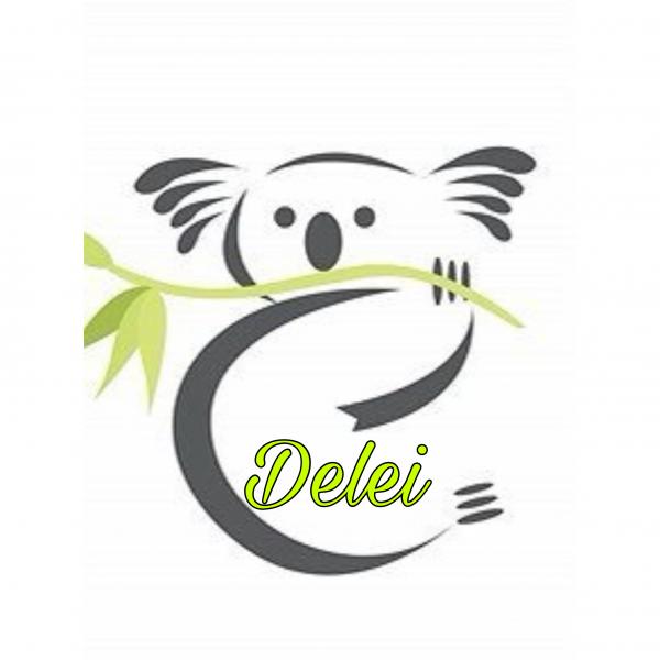 Delei’s Market