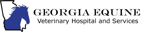 Georgia Equine Veterinary Services