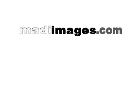 Madiimages.com