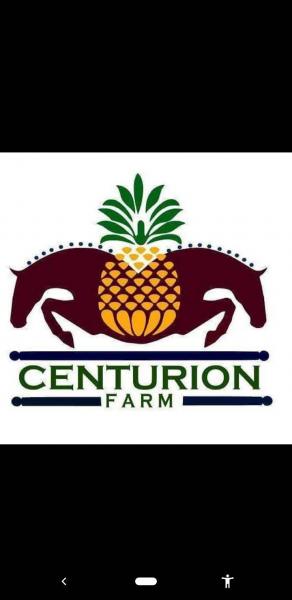 Centurion Farm
