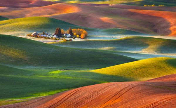 Palouse Homestead picture