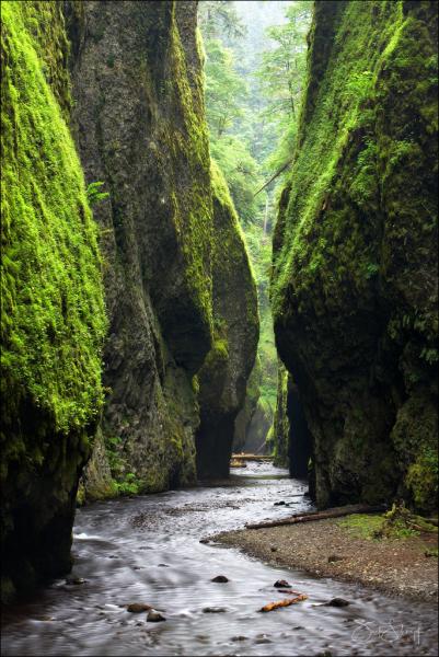 Oneonta Gorge