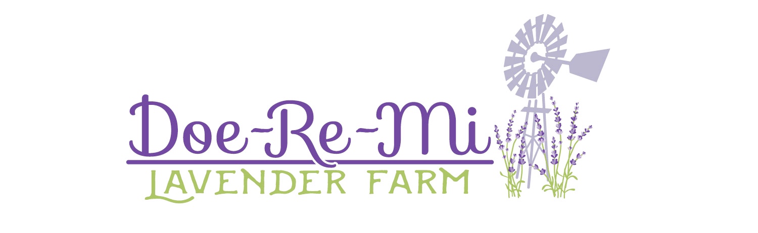 Doe-Re-Mi Lavender Farm