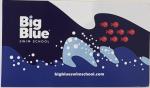 Big Blue Swim School -Concord