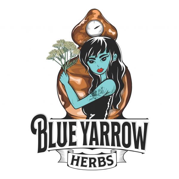 Blue Yarrow Herbs