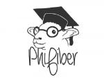 PhiFiber
