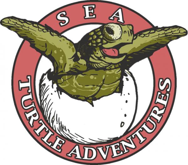 Sea Turtle Adventures