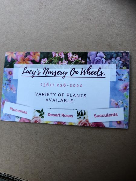 Lucy’s Nursery On Wheels