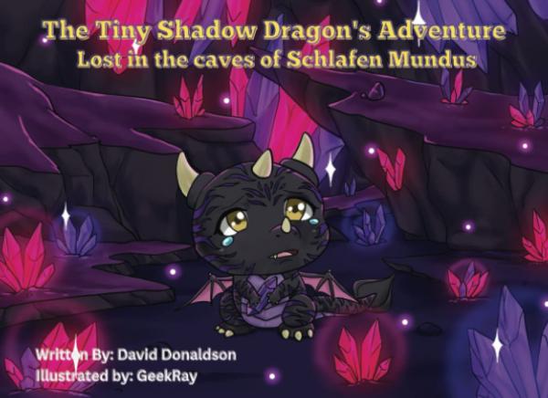 Tiny Shadow Dragon Adventure Book