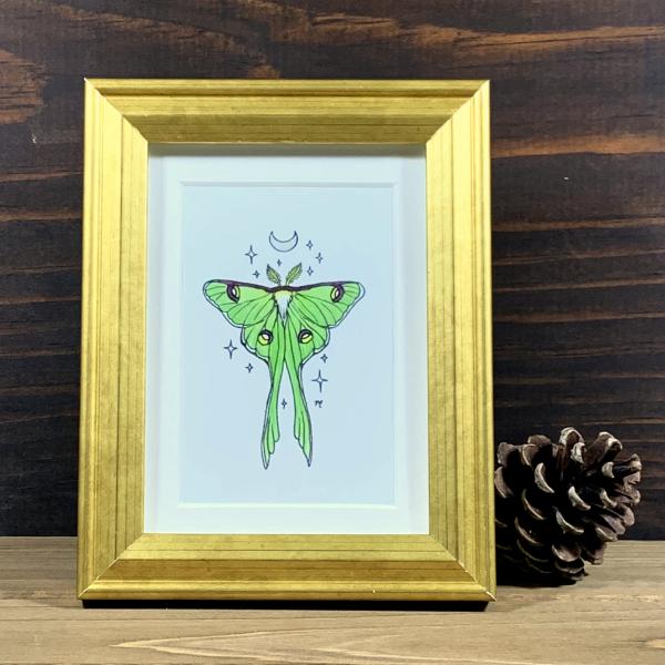 Luna Moth - Framed Mini Art Print picture