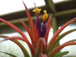Owens Gardens