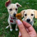 Must be Ruff