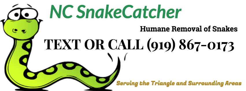 NC Snake Catcher