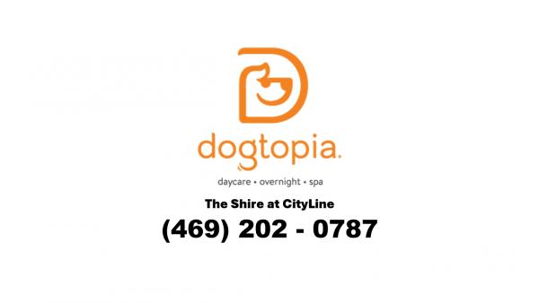 Dogtopia of The Shire at CityLine