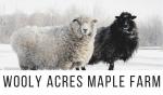 Wooly Acres Maple Farm