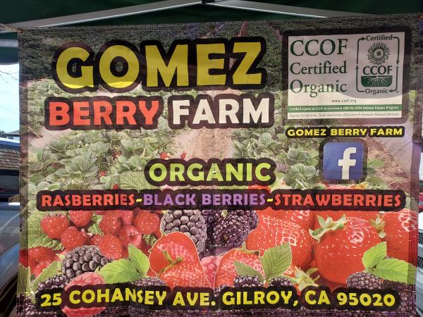 Gomez berry farm