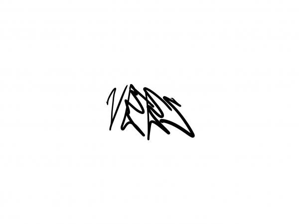 Vees Clothing
