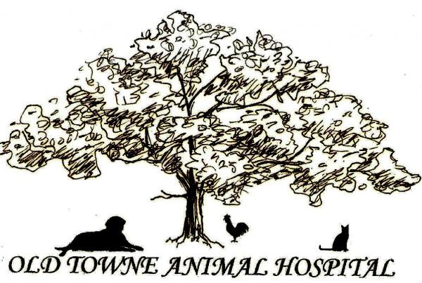 Old Towne Animal Hospital