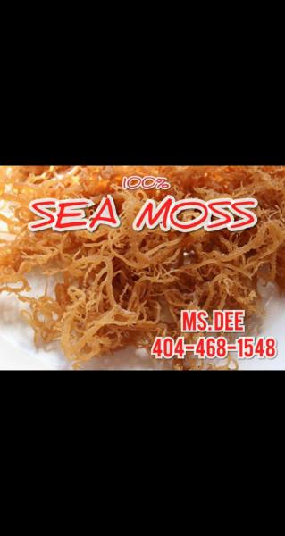 SEA MOSS LADY