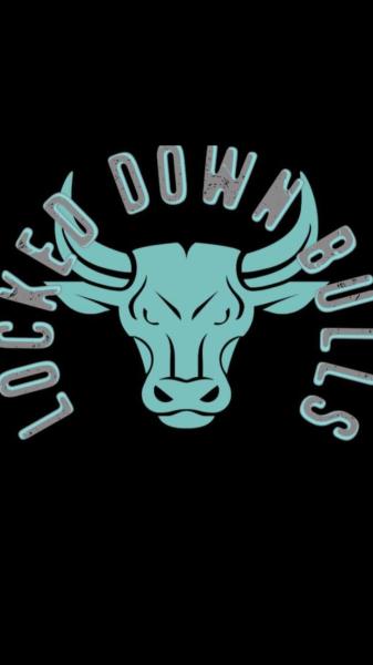Locked Down Mechanical Bull