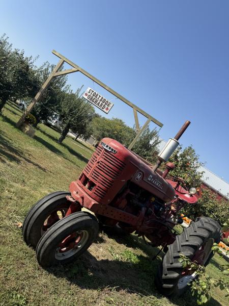 Storybook orchard