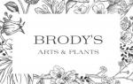 Brody's Arts & Plants