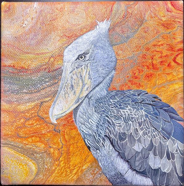 Shoebill