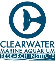 Clearwater Marine Aquarium Research Institute