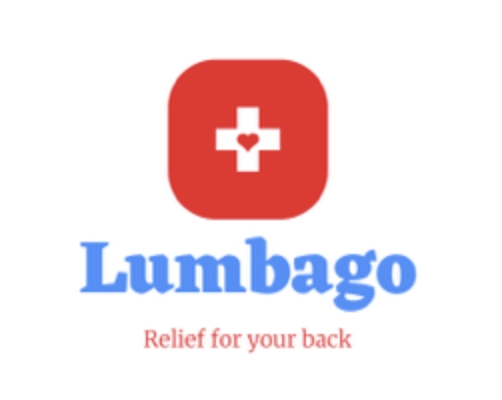 Lumbago Pillow