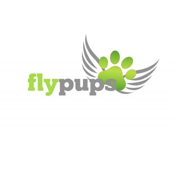 Fly Pups