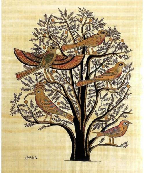 Acacia Tree of Life