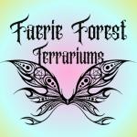 Faerie Forest Terrariums