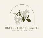 Reflections Plants