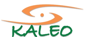 Sponsor: Kaleo Marketing