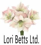 Lori Betts Ltd