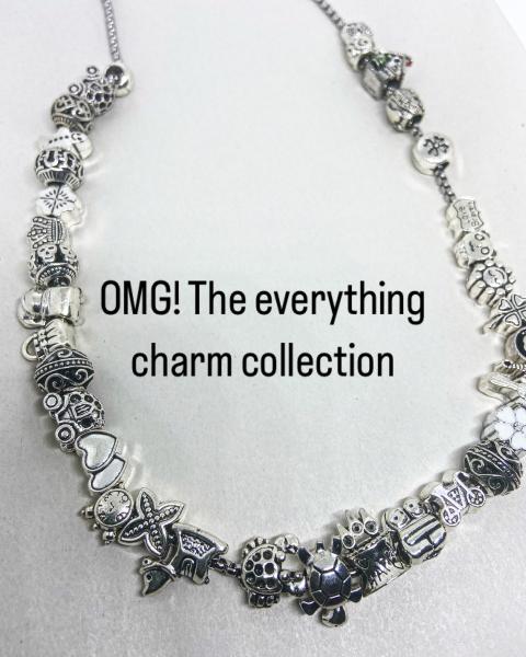 The Largest Charm Shop Event