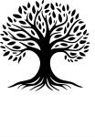 Crystal energy healing center