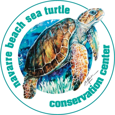 Navarre Beach Sea Turtle Conservation Center  (education table)
