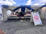 sanchez playland corporation