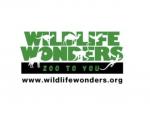Wildlife Wonders