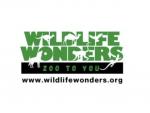 Wildlife Wonders