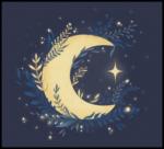LadyMoon Corner