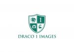 Draco 1 Images