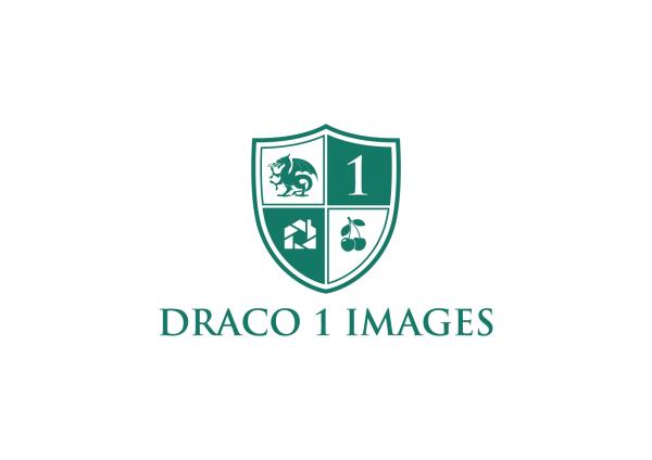 Draco 1 Images