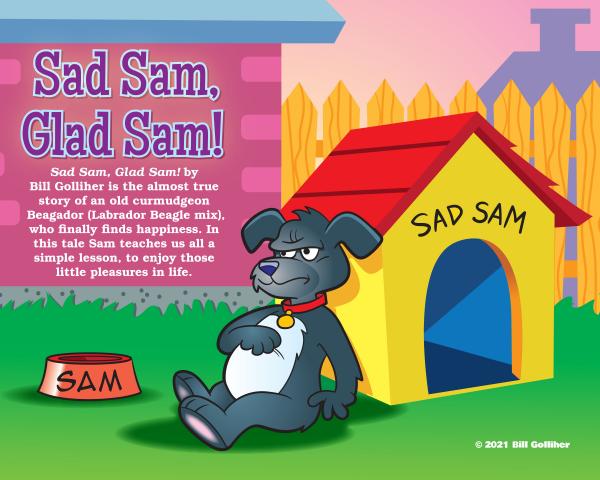 Sad Sam, Glad Sam! - Children's Book picture