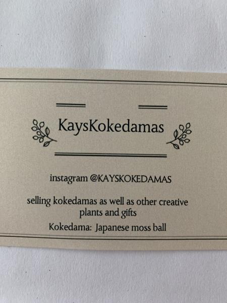 Kay’s Kokedamas