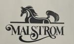 Malstrom Leather Goods LLC
